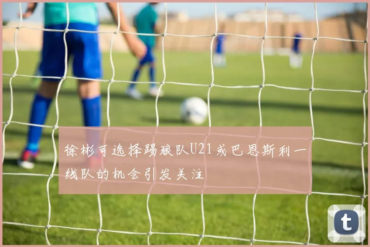 徐彬可选择踢狼队U21或巴恩斯利一线队的机会引发关注